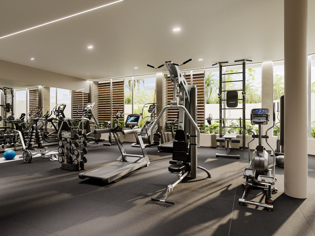 Gimnasio